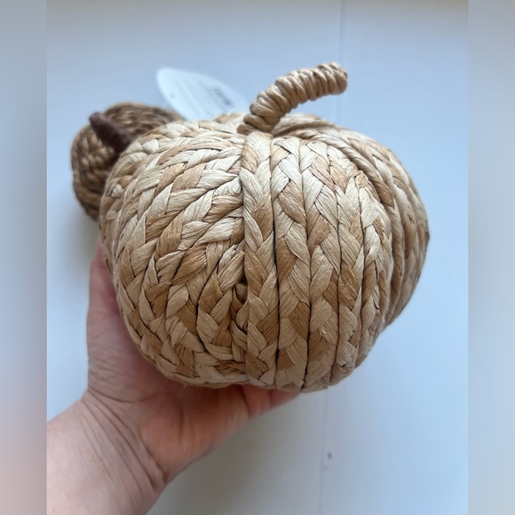 Threshold Natural Braided Rope Pumpkin Set - Picture 4 of 6
